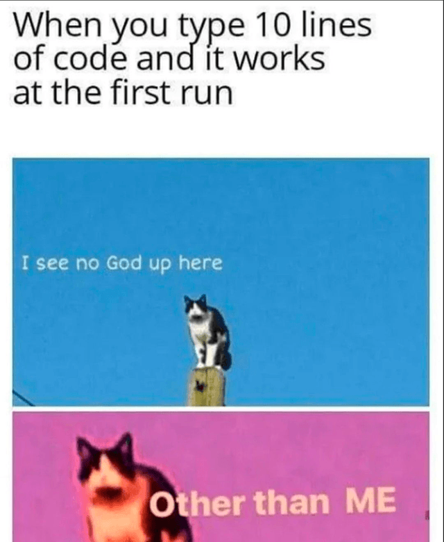 Cat meme 5