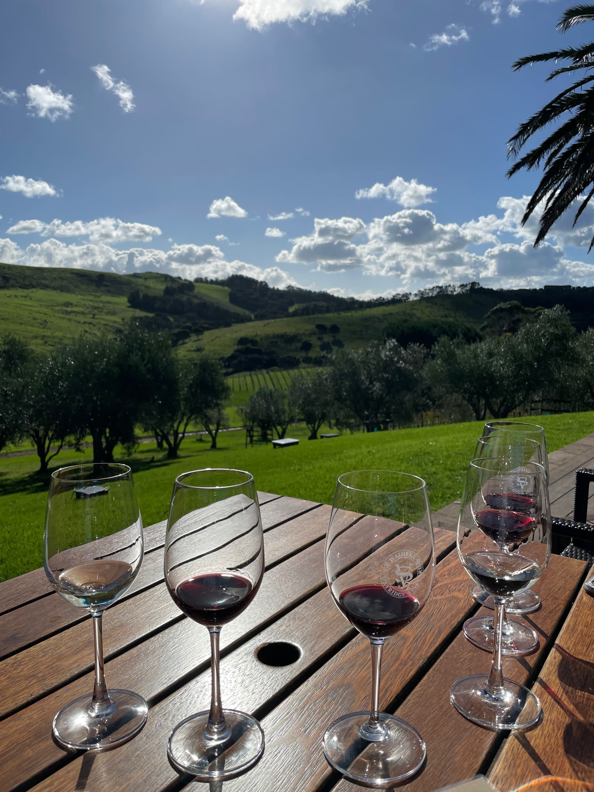 Jonathan exploring nature and travel